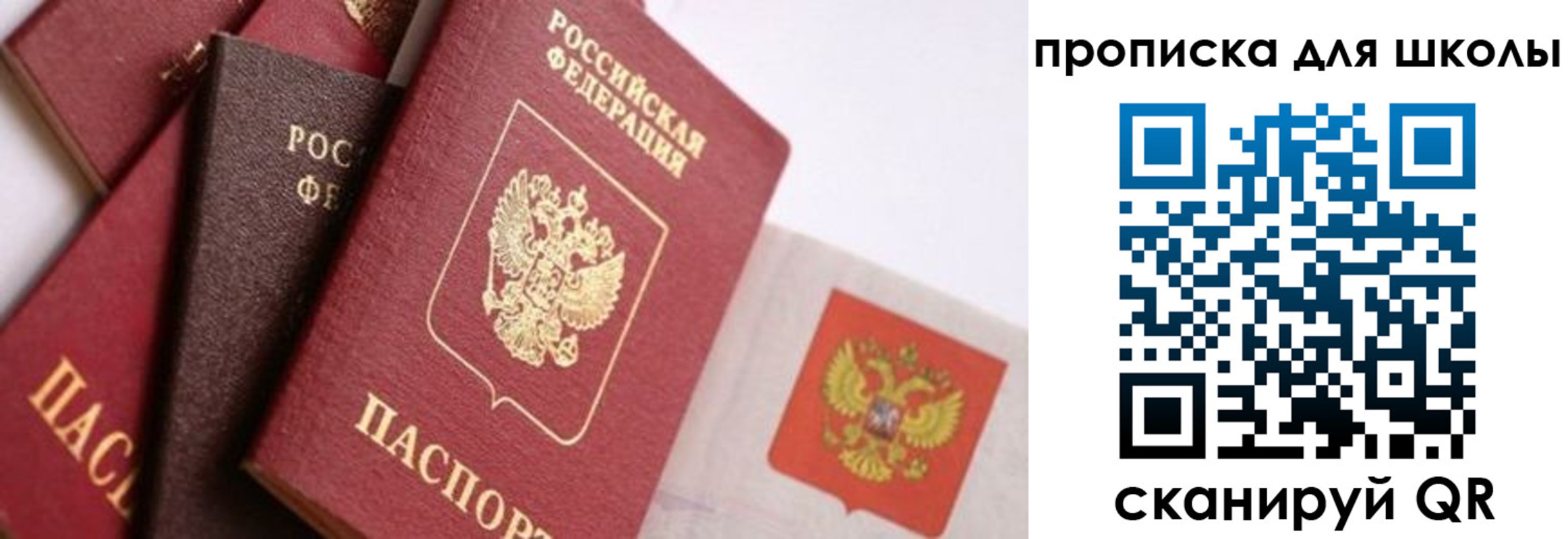 прописка поиск в Сатке
